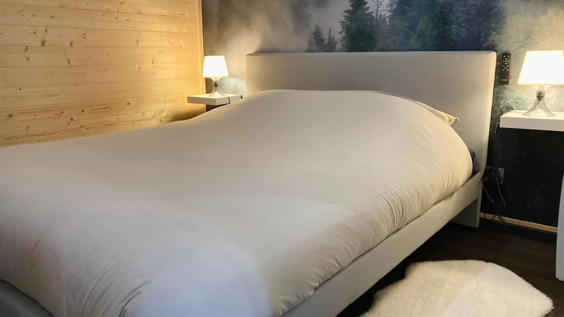 Le Nivolet, Cosy Appartement Chambery 0*,  France